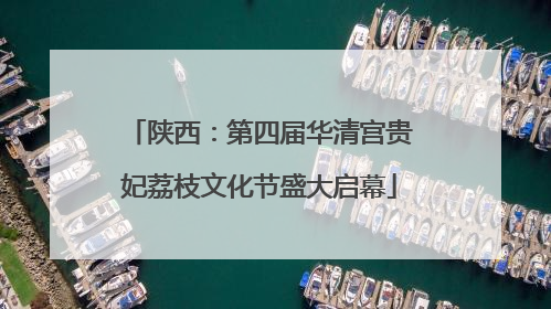 陕西：第四届华清宫贵妃荔枝文化节盛大启幕