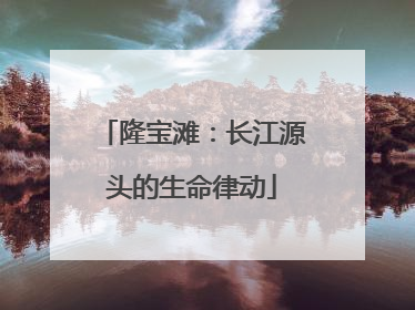 隆宝滩：长江源头的生命律动