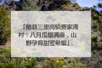 随县三里岗镇贾家湾村：八月瓜缀满藤，山野孕育甜蜜希望