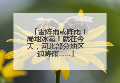 雷阵雨或阵雨！局地冰雹！就在今天，河北部分地区迎降雨……