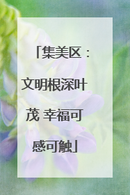 集美区：文明根深叶茂 幸福可感可触