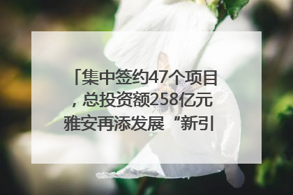 集中签约47个项目，总投资额258亿元 雅安再添发展“新引擎”｜数读西投