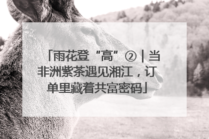 雨花登“高”②｜当非洲紫茶遇见湘江，订单里藏着共富密码