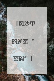 风沙里的逆袭“密码”
