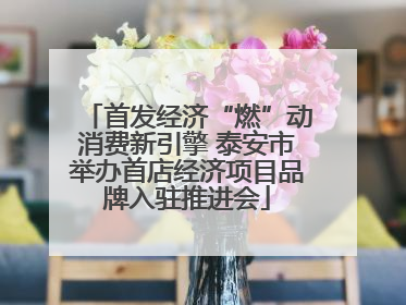首发经济“燃”动消费新引擎 泰安市举办首店经济项目品牌入驻推进会