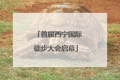 首届西宁国际徒步大会启幕