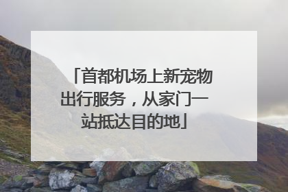 首都机场上新宠物出行服务，从家门一站抵达目的地