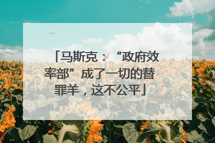 马斯克：“政府效率部”成了一切的替罪羊，这不公平