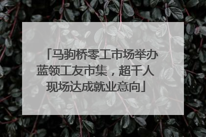 马驹桥零工市场举办蓝领工友市集，超千人现场达成就业意向