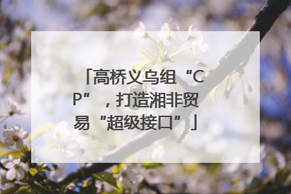 高桥义乌组“CP”，打造湘非贸易“超级接口”