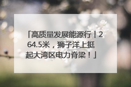 高质量发展能源行丨264.5米，狮子洋上挺起大湾区电力脊梁！