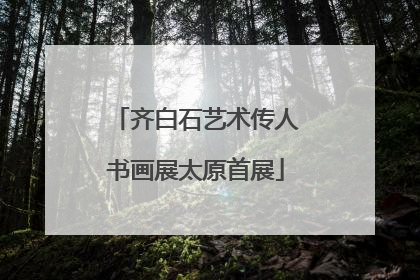 齐白石艺术传人书画展太原首展