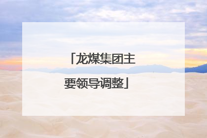 龙煤集团主要领导调整