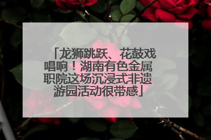 龙狮跳跃、花鼓戏唱响！湖南有色金属职院这场沉浸式非遗游园活动很带感