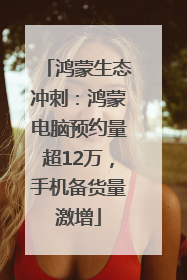 鸿蒙生态冲刺：鸿蒙电脑预约量超12万，手机备货量激增