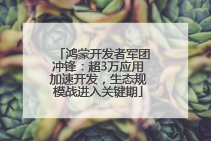 鸿蒙开发者军团冲锋：超3万应用加速开发，生态规模战进入关键期