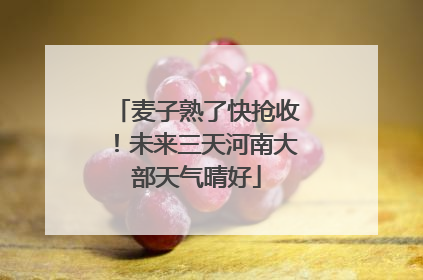 麦子熟了快抢收！未来三天河南大部天气晴好