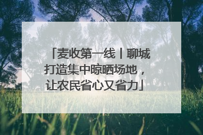 麦收第一线丨聊城打造集中晾晒场地，让农民省心又省力