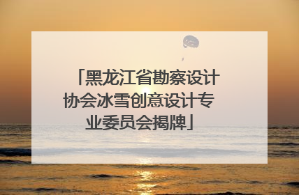 黑龙江省勘察设计协会冰雪创意设计专业委员会揭牌