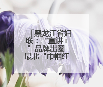 黑龙江省妇联：“宣讲+”品牌出圈 最北“巾帼红”活力迸发