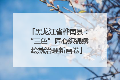 黑龙江省桦南县：“三色”匠心织锦绣 绘就治理新画卷