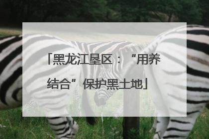 黑龙江垦区：“用养结合”保护黑土地