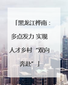 黑龙江桦南：多点发力 实现人才乡村“双向奔赴”