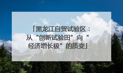 黑龙江自贸试验区：从“创新试验田”向“经济增长极”的质变