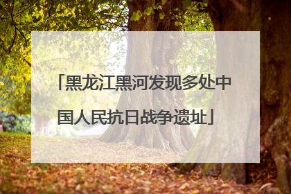 黑龙江黑河发现多处中国人民抗日战争遗址