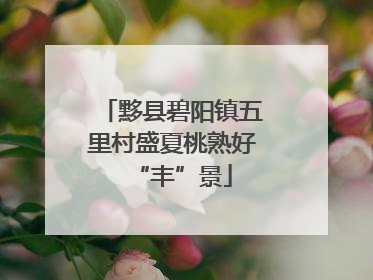 黟县碧阳镇五里村盛夏桃熟好“丰”景