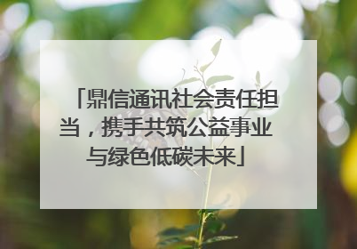 鼎信通讯社会责任担当，携手共筑公益事业与绿色低碳未来