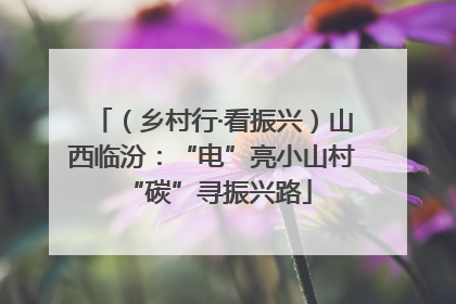 （乡村行·看振兴）山西临汾：“电”亮小山村 “碳”寻振兴路