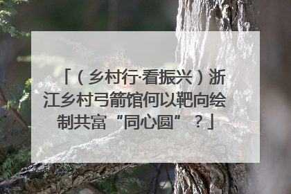 （乡村行·看振兴）浙江乡村弓箭馆何以靶向绘制共富“同心圆”？