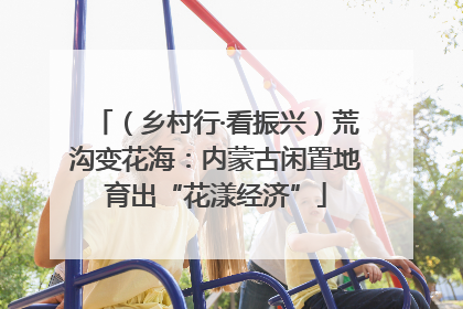 （乡村行·看振兴）荒沟变花海：内蒙古闲置地育出“花漾经济”