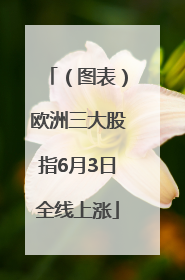 （图表）欧洲三大股指6月3日全线上涨