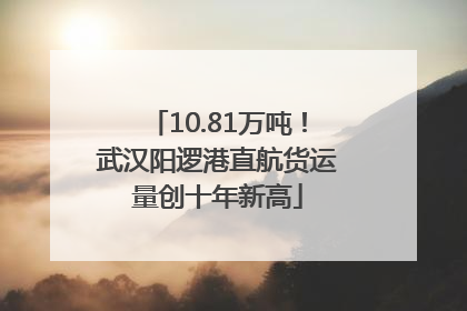 10.81万吨！武汉阳逻港直航货运量创十年新高