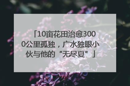 10亩花田治愈3000公里孤独，广水独眼小伙与他的“无尽夏”