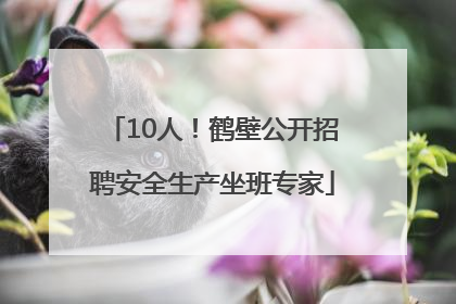 10人！鹤壁公开招聘安全生产坐班专家