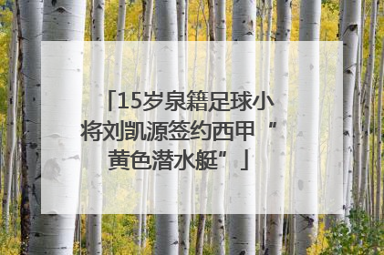 15岁泉籍足球小将刘凯源签约西甲“黄色潜水艇”
