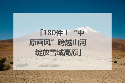 180件！“中原画风”跨越山河绽放雪域高原