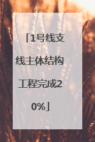 1号线支线主体结构工程完成20%