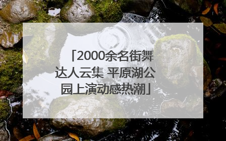 2000余名街舞达人云集 平原湖公园上演动感热潮