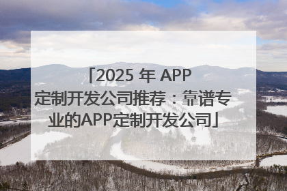 2025 年 APP 定制开发公司推荐：靠谱专业的APP定制开发公司