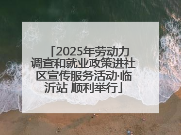 2025年劳动力调查和就业政策进社区宣传服务活动·临沂站 顺利举行