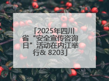 2025年四川省“安全宣传咨询日”活动在内江举行& 8203