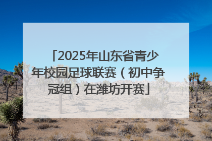 2025年山东省青少年校园足球联赛（初中争冠组）在潍坊开赛