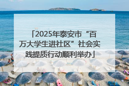 2025年泰安市“百万大学生进社区”社会实践提质行动顺利举办