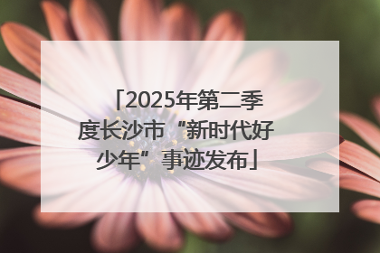 2025年第二季度长沙市“新时代好少年”事迹发布