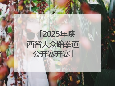 2025年陕西省大众跆拳道公开赛开赛