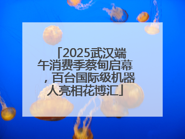 2025武汉端午消费季蔡甸启幕，百台国际级机器人亮相花博汇